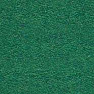 Flora 2_986  Kvadrat